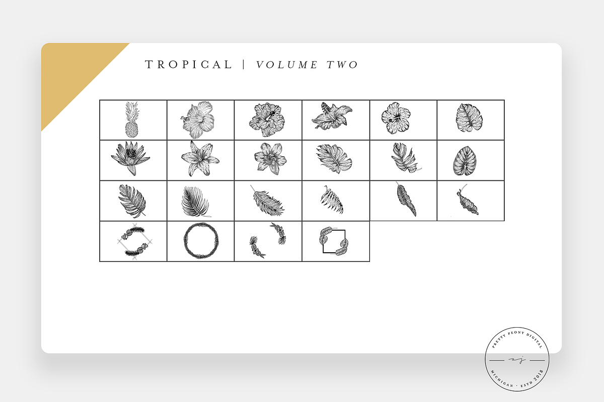 20 Tropical Stamps for Procreate V2, a Brush Add-On by SorrDesign (Photo 2 of 5)