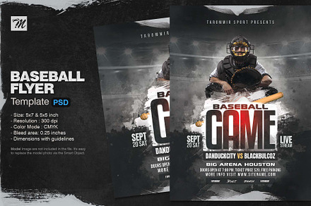 Baseball Game Flyer, a Flyer Template by Tarommir