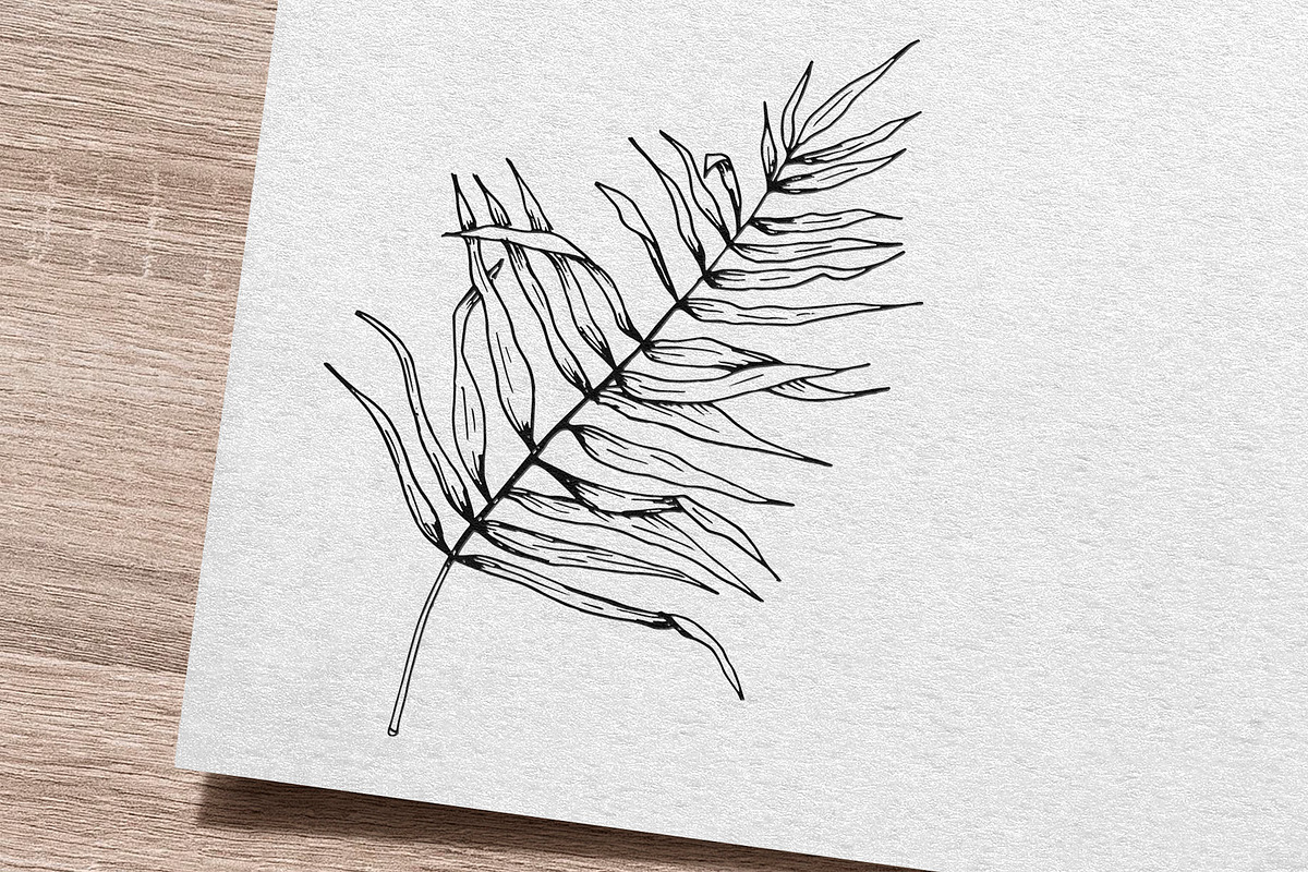 Palm leaf. Hand sketch and patterns, an Illustration by Canatic (Photo 2 of 7)