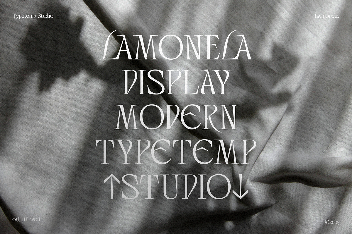 Lamonela - Serif Display Font, a Serif Font by Typetemp Studio (Photo 2 of 21)
