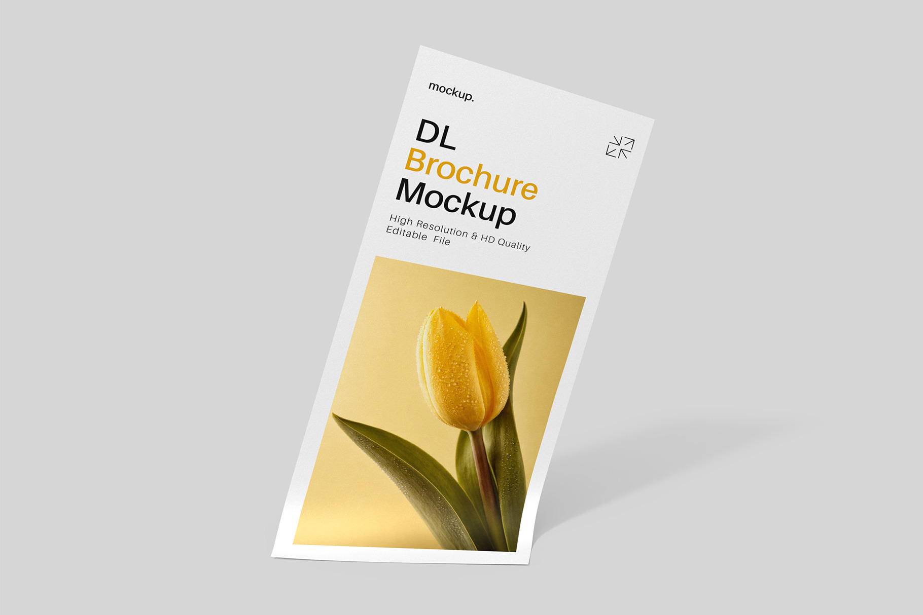 DL Flyer Brochure Mockup