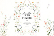 Line-thin watercolor wildflowers, a Decorative Illustration by Pamyatka Shop (Thumbnail 1 of 16)