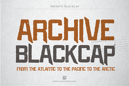 Archive Blackcap