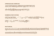 CS Aquary Stitched, a Serif Font by Craft Supply Co. (Thumbnail 8 of 8)