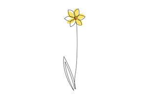 Daffodil Flower In Continuous Line