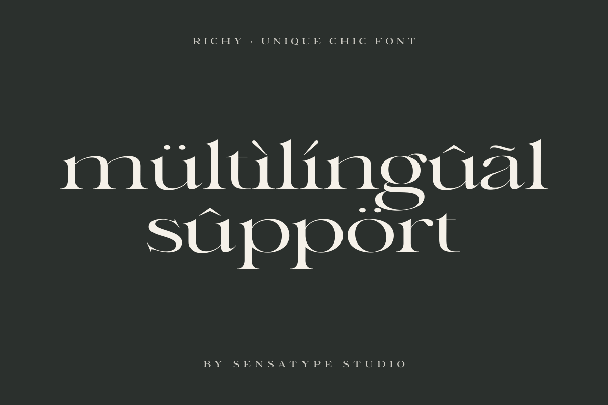 Richy - Unique Chic Font, a Serif Font by Sensatype (Photo 13 of 21)