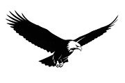 50 Flying Eagle Silhouette Vector Bu, an Illustration by Designs_River (Thumbnail 22 of 51)