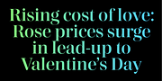 Madigan, a Serif Font by Hoftype (Thumbnail 9 of 13)