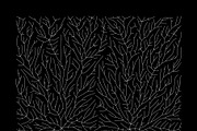 Growth - 10 Backgrounds, a Texture Graphic by GarryKillian (Thumbnail 9 of 11)