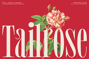 MTC Tailrose - A Quirk Serif Font, a Serif Font by Martype