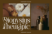 Harmony Dream - Decorative Serif, a Serif Font by Say Studio (Thumbnail 4 of 11)