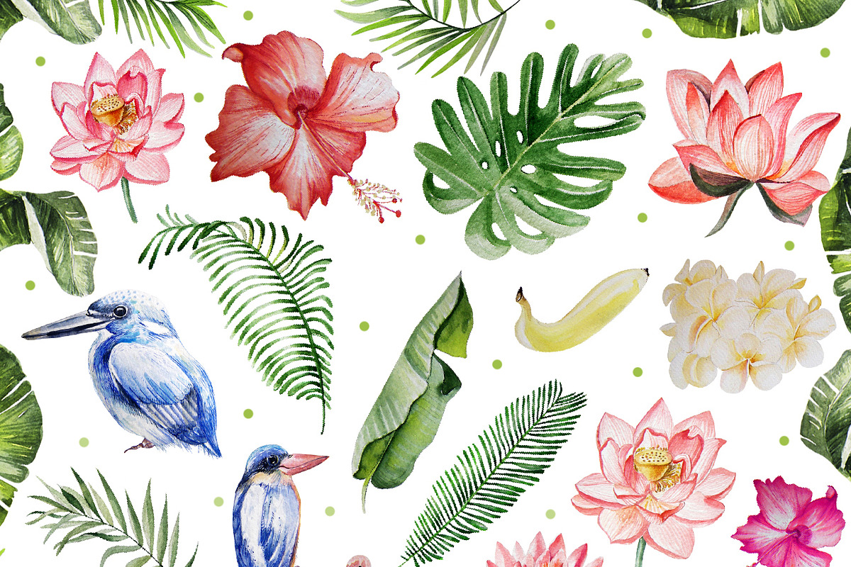 Hand Drawn watercolor TROPICS 2, an Object Graphic by Knopazyzy (Photo 3 of 4)