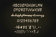 Solvina Elegant Script Font, a Script Font by NTC Graphic (Thumbnail 9 of 10)