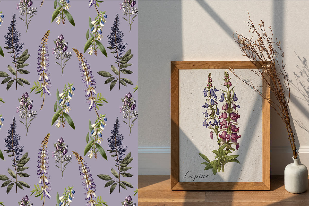 Lupine. Vintage botanical atlas, a Pattern Graphic by Antikva17 (Photo 11 of 12)