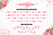 Merrytone | Modern Stylish Font, a Script Font by WDfont (Thumbnail 6 of 7)