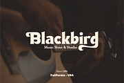 Antagonist Casual Bold Serif, a Serif Font by Haksen (Thumbnail 3 of 15)