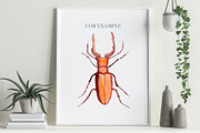 Watercolor Insects, Biological Set, an Illustration by Mia Digital (Thumbnail 3 of 5)