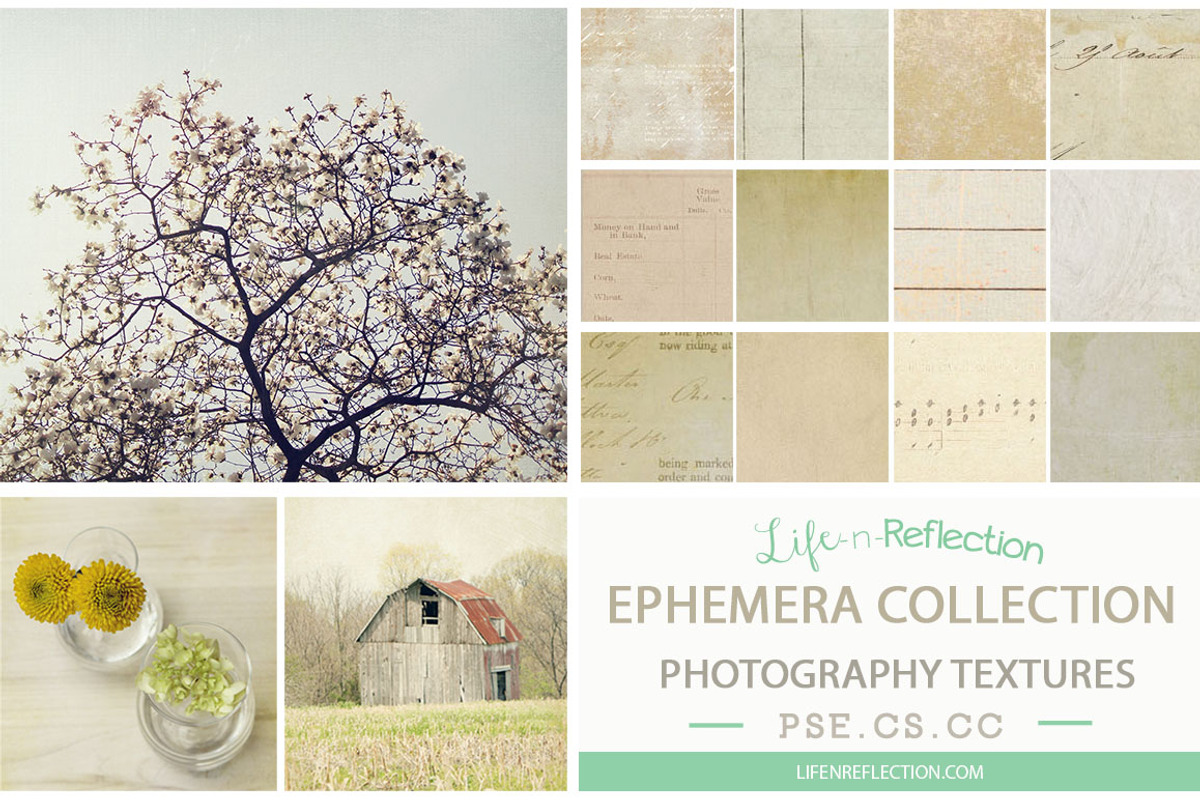 Ephemera Texture Collection Vol 4, a Texture Graphic by lifenreflection (Photo 2 of 2)