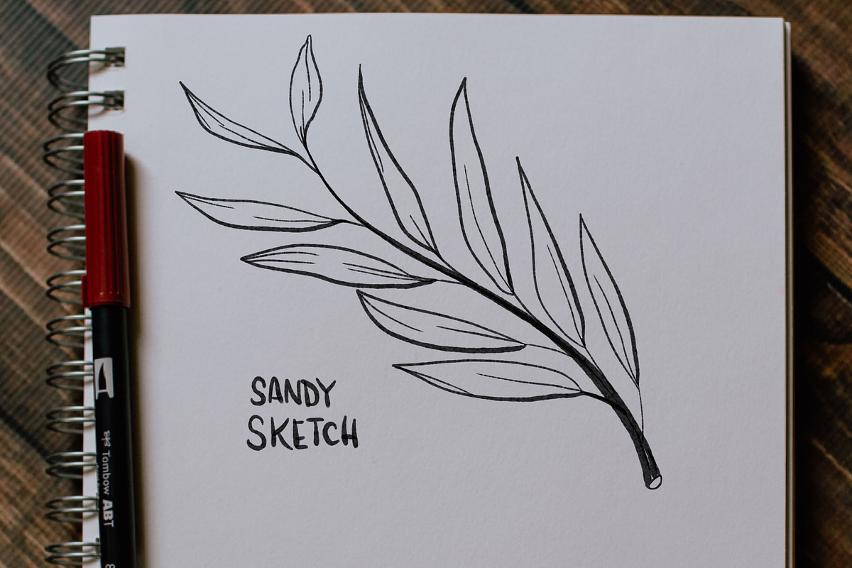 Script & Sketch Procreate Brushes, a Brush Add-On by Inky Pixels (Photo 7 of 15)