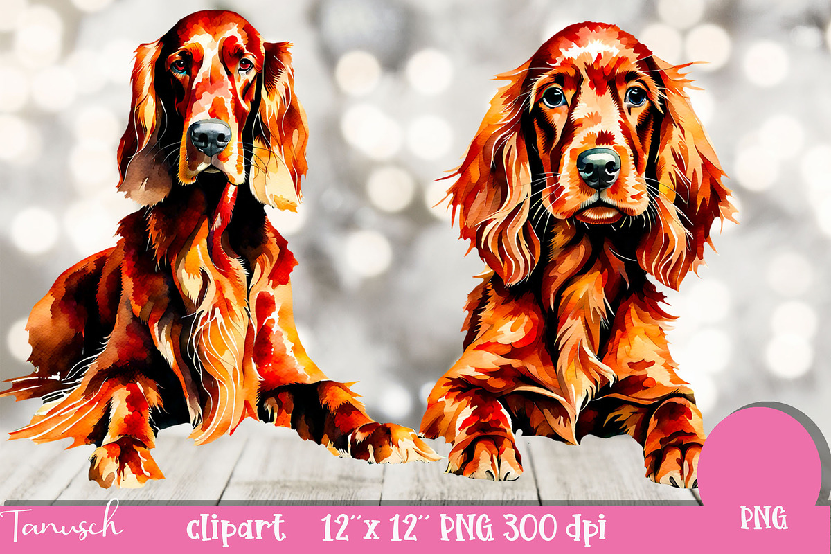 watercolor irish setter clipart PNG, an Animal Illustration by TanuschArts (Photo 2 of 5)