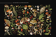 Autumn Forest. Big Graphic Set., a Decorative Illustration by Red Ink (Thumbnail 3 of 10)