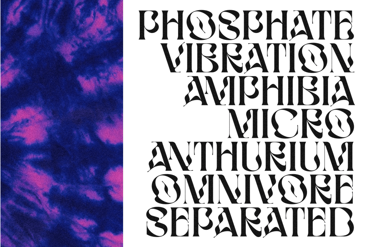 BOPHERA, a Sans Serif Font by Bagerich Type Foundry (Photo 13 of 15)