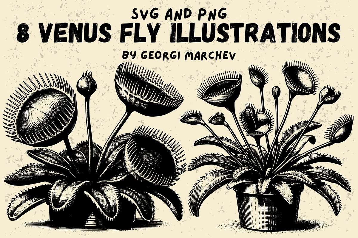 Venus Fly Trap Bundle SVG PNG, a Decorative Illustration by Ray Crimson