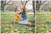 Butterfly PNG photoshop overlays, a Plug-in Add-On by ZephyrDigital (Thumbnail 5 of 6)