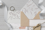 Organic shapes, botanical forms, a Decorative Illustration by JuDesign (Thumbnail 9 of 13)