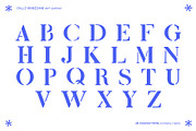 CALLI VENEZIANE Serif Font, a Font by MDP TYPEFACES (Thumbnail 2 of 6)