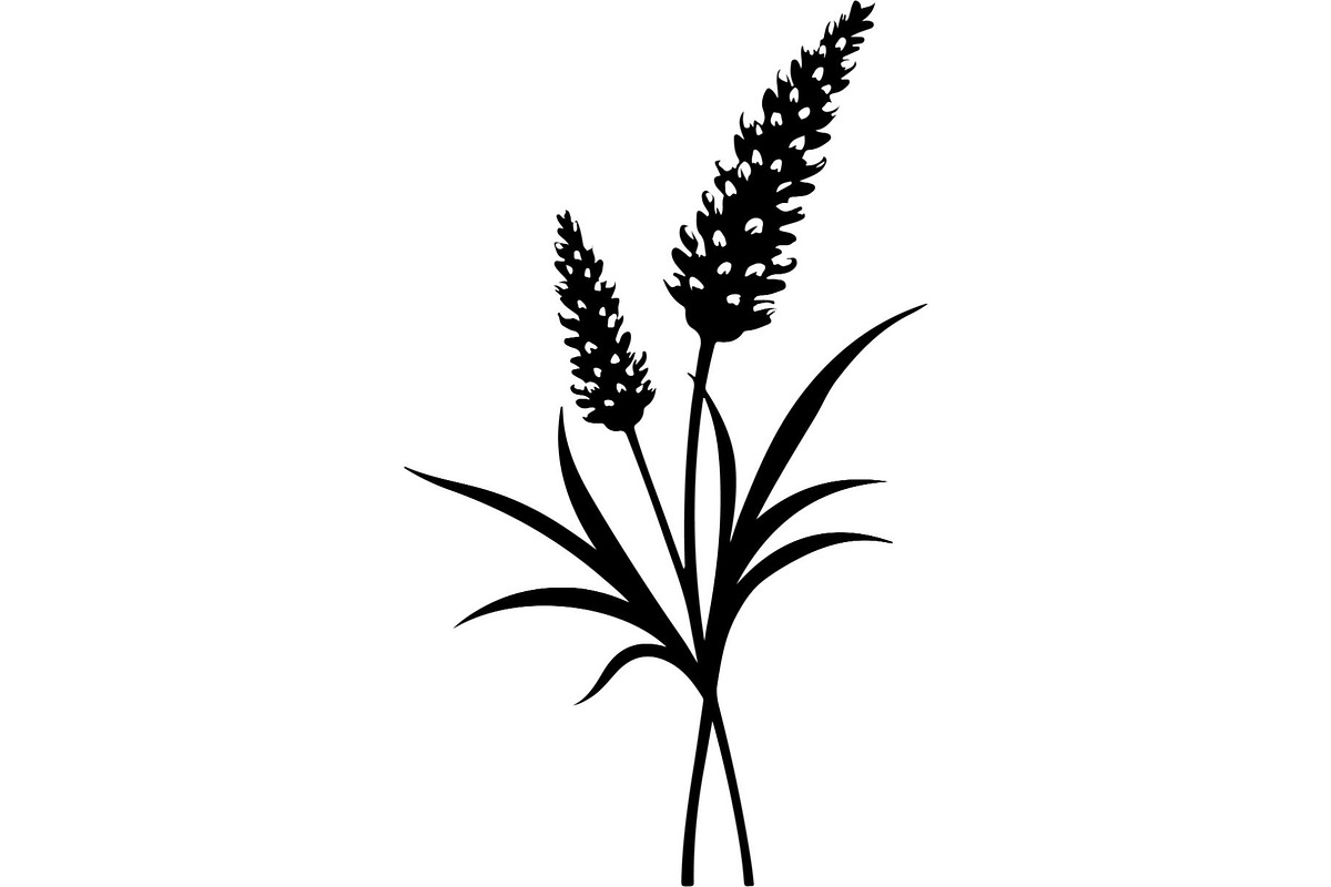 Decorative Tribal Feather Vector, an Object Graphic by Designer_Momina (Photo 5 of 18)