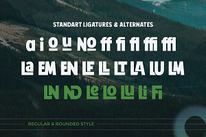 Gayo Land - Sans Serif Display Bold