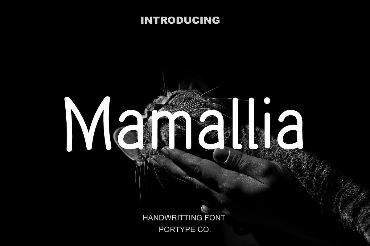 Mamallia - Handwriting font, a Handwritten Font by portype (Photo 1 of 6)