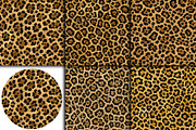 Realistic Leopard Print Fur Texture, a Pattern Graphic by Artonix (Thumbnail 3 of 3)
