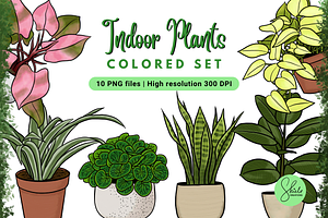 Indoor Plants Cliparts - Colored Set