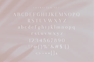 Chanley - Modern Font Serif