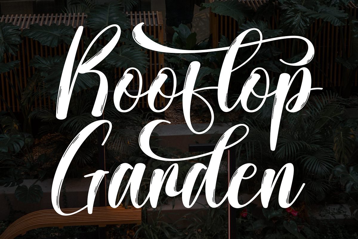 Rooftop Garden | Script Font, a Handwritten Font by Scratchones (Photo 1 of 9)