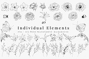 Botanical Line Art SVG & PNG Bundle, a Decorative Illustration by AW Studios (Thumbnail 2 of 7)