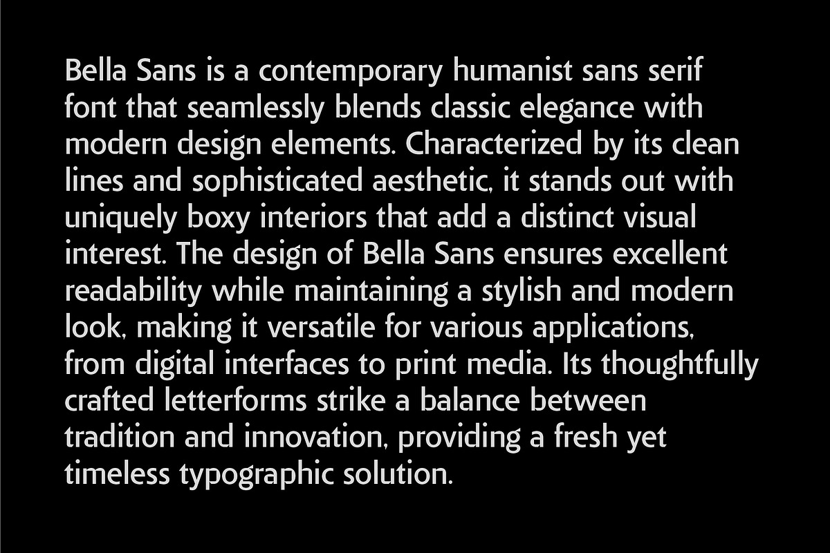 Bella Sans (family font), a Sans Serif Font by PeanutButter Type (Photo 16 of 18)