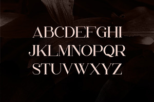 Papillon - Handcrafted Serif Font