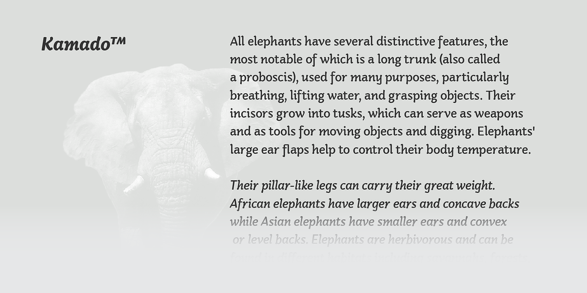 Kamado, a Sans Serif Font by Hashtag Type (Photo 9 of 9)
