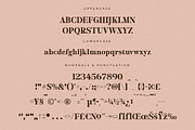 Merifto Modern Serif Font, a Serif Font by Storytype Studio (Thumbnail 13 of 15)