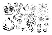 Fruits and berries vector sketch, a Food Illustration by irina.vaneeva (Thumbnail 10 of 11)