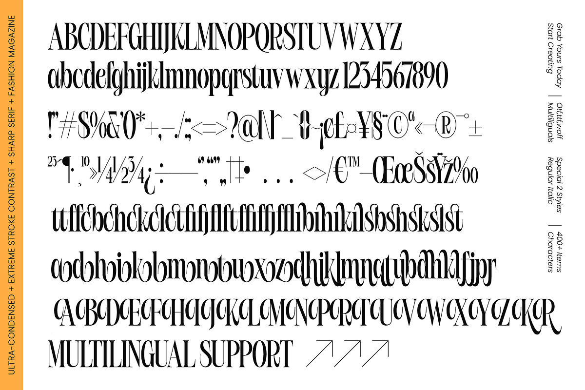 Bargckiss Contemporary Serif Display, a Serif Font by timelesstype.co (Photo 10 of 10)