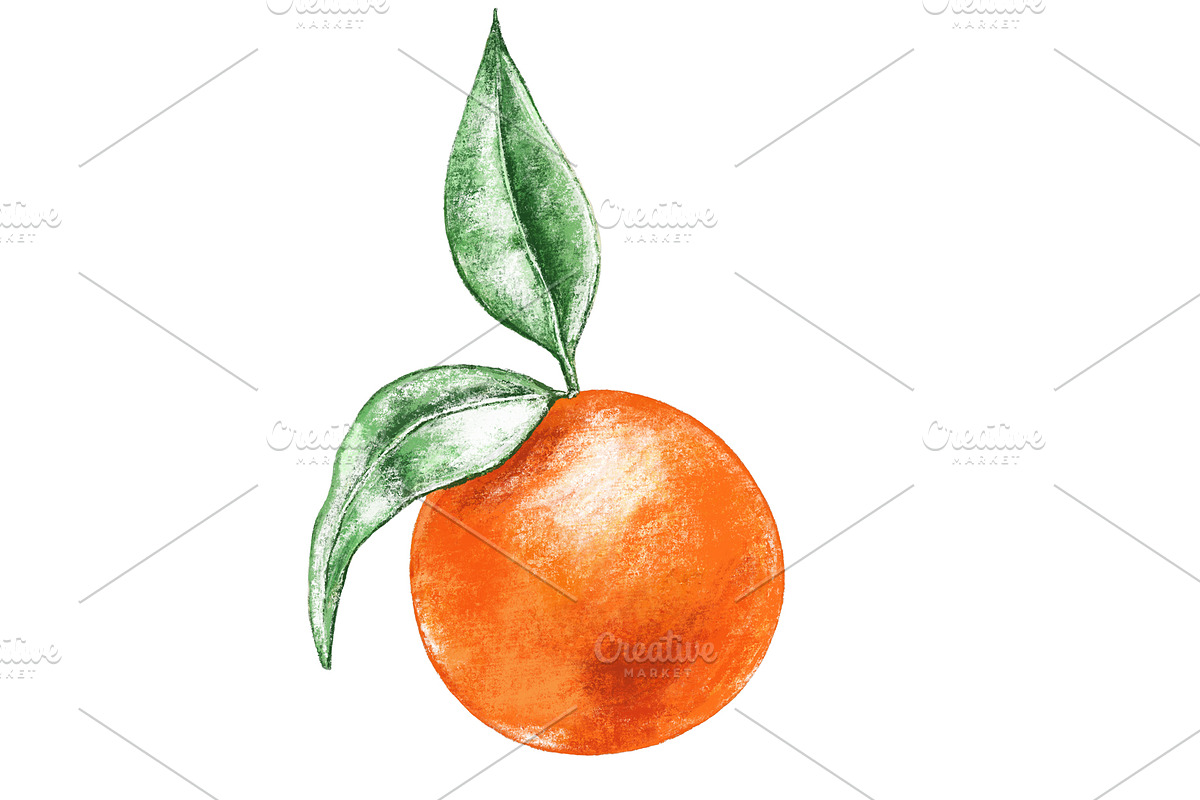 Hand drawn orange., a Food Illustration by EkaterinaPlanina