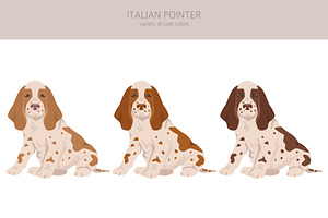 Italian Pointer Clipart