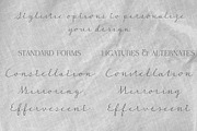 Autumn June Handwritten Script Font, a Font by Evoke Type Studio (Thumbnail 7 of 12)