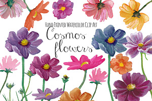 Cosmos Flowers Watercolor Clipart