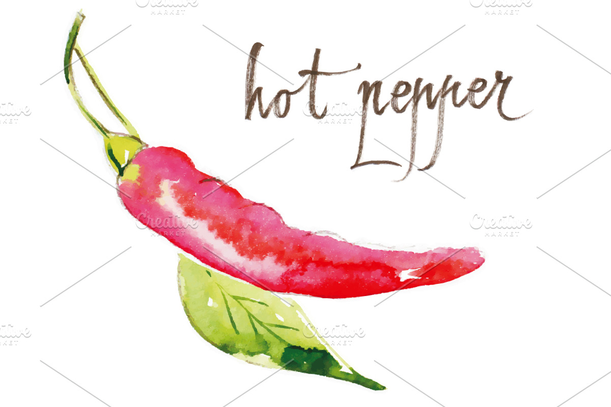 Watercolor herbs & spices collection, a Graphic by miminoshka (Photo 6 of 9)