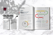 10 Infographics for InDesign v.1, a Brochure Template by StockInDesign